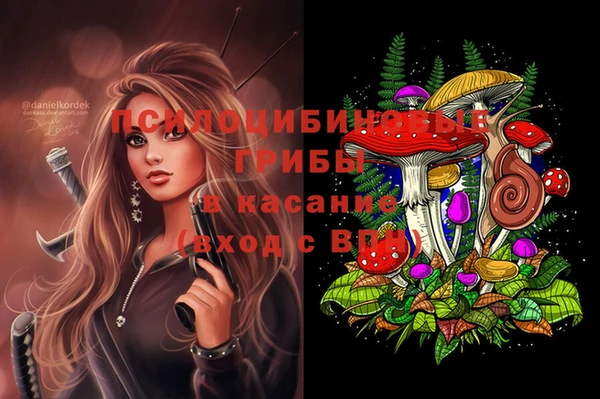 мдпв Верхний Тагил